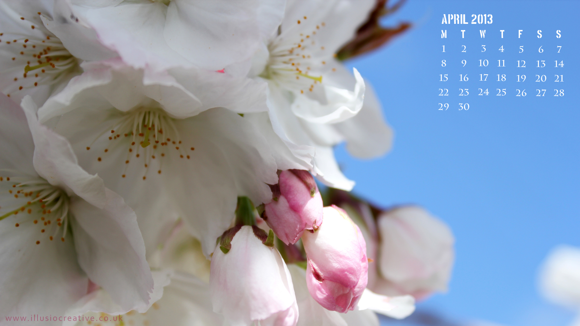 April 2013 - Sakura Blossom - 1290x1080