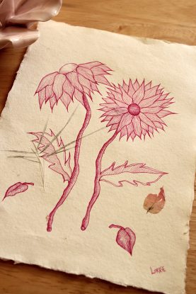 Chrysanthemums - Original Drawing in Ink